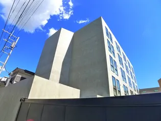 ゼルコヴァの画像