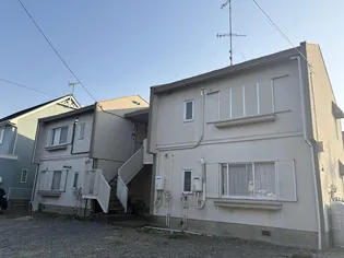 タウニーシミズの画像