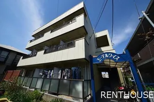 エーデルワイスの画像