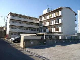 ソラリア大在の画像