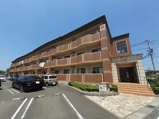 グラシオッソブローテの画像