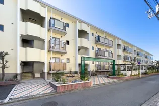 ハルニレの画像