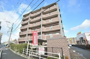 エトワールサトルの画像