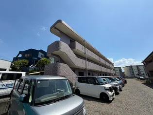 IDEE 泰平の画像