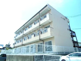 Anniversary竜洋【1階】の外観