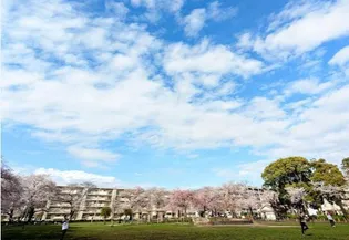 エクレールメゾン鈴木【2階】の周辺