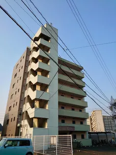 T1キタガタの画像