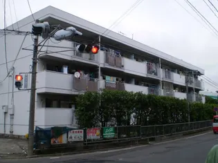 泉ハイツの画像