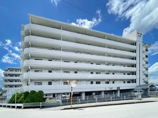 フローラルTSの画像