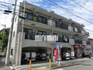 アムールフジの画像