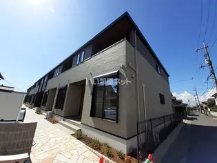 サザンクロスAの画像