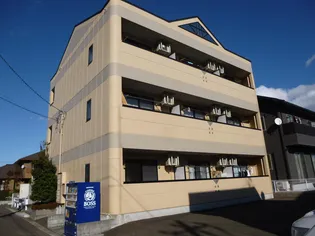 エレガント桜の画像