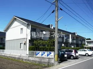 グリーンポケットの画像