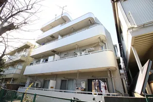 ルミエール大橋の画像