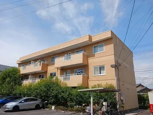 サンフラワーIIの画像