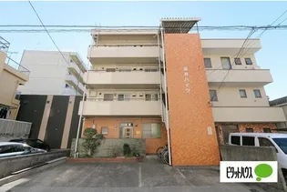 安井ハイツ【2階】の外観