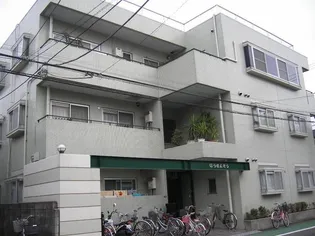 ほうれんそうの画像