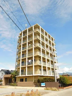 ベルノス35の画像