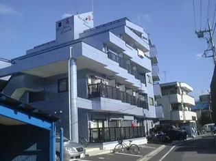 エーデルブルーメカワチの画像