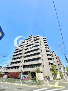 東京都板橋区東新町1【マンション】の外観