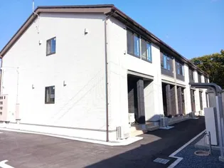 プラシードの画像