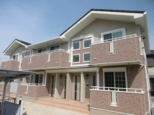 マンダリーナの画像