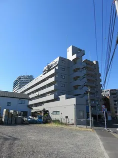 BAY DOLPHINの画像