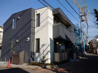 ジェミニ サウスの画像