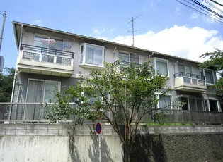 チェリッシュ菊名の画像