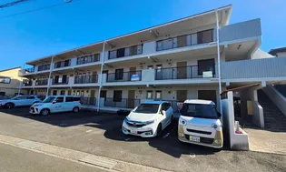 スタインガーデンの画像