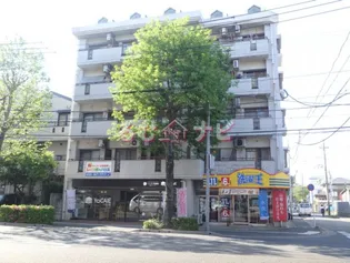 ホワイトキャッスル大橋壱番館の画像