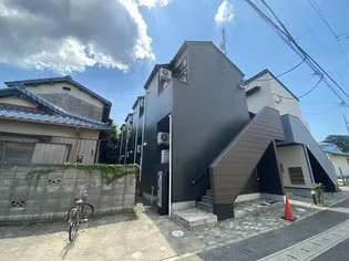 SPRING COASTの画像