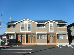 コモド アビターレの画像