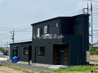 モンステラの画像