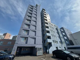 セザール円山北【10階】の外観