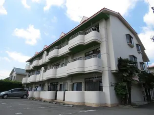 栃木県宇都宮市御幸ケ原町【マンション】の外観