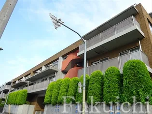 コリーヌ自由が丘【3階】の外観