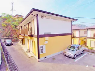 グレイスカンドウCの画像