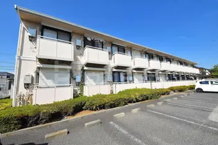 マリーゴールドAの画像