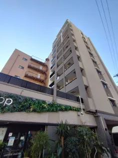 TKアンバーコート堺東Ⅱの画像