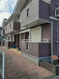 サニーブライトの画像