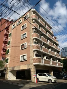 ブランドール大井手の画像