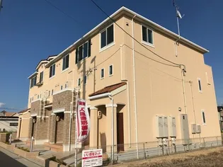 ノーサイドMの画像