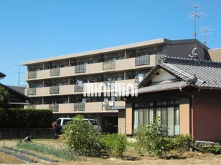 ミラリオ東島の画像