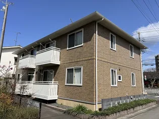 スノー フレークの画像