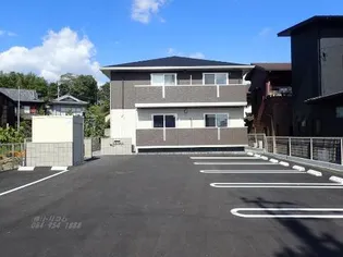 シャインの画像