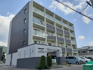 ラヴィータの画像