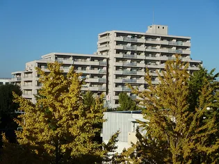 URいちょう並木国立の画像