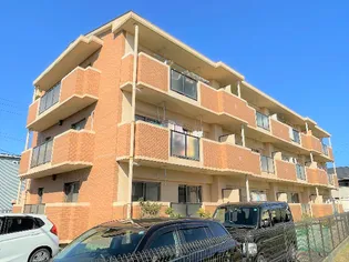 ミーナK&Sの画像