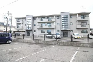 カサグランデの画像